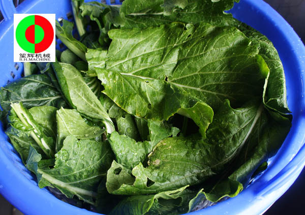 蔬菜脫水機(jī)