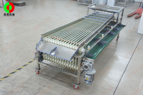 圣女果分級(jí)機(jī) 