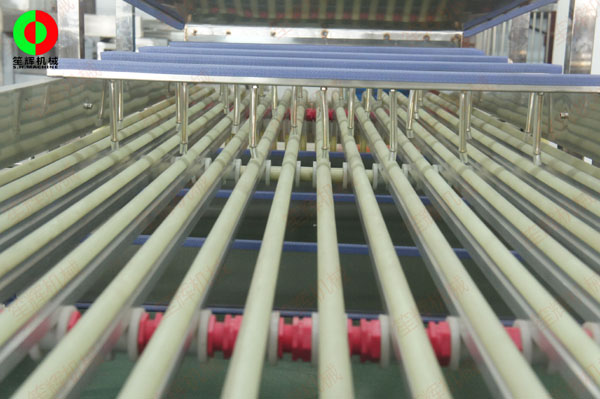 圣女果分級(jí)機(jī) 