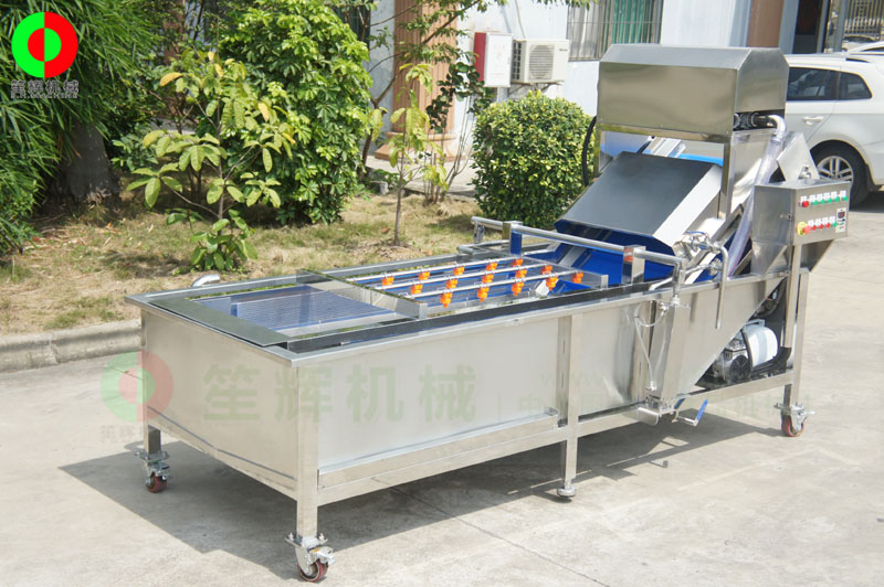 全網(wǎng)鏈輸送洗菜機(jī)