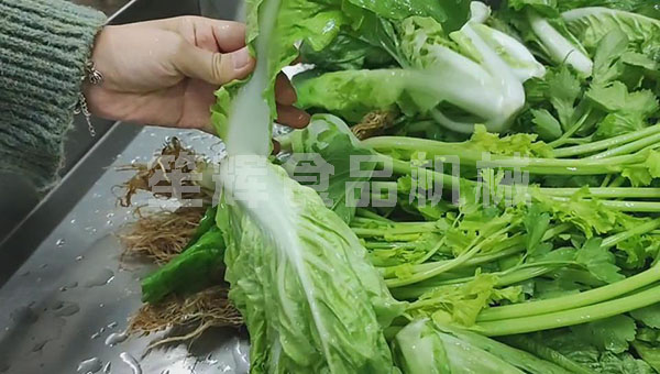 無(wú)損清洗機(jī)