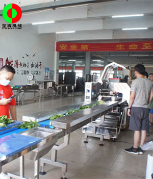 枕式蔬果包裝生產(chǎn)線,客戶現(xiàn)場測試驗收！