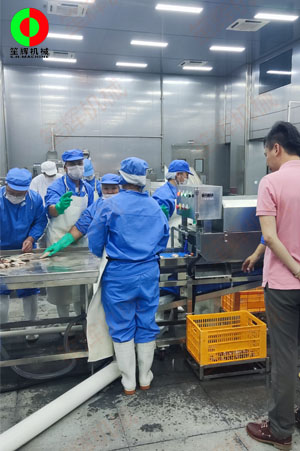 廣東中山某大型水產(chǎn)加工設(shè)備落成現(xiàn)場！