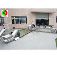 多功能洗菜機(jī)/洗菜機(jī)生產(chǎn)線/切菜-洗菜-風(fēng)干生產(chǎn)線(視頻) 多功能洗菜機(jī)/洗菜機(jī)生產(chǎn)線/切菜-洗菜-風(fēng)干生產(chǎn)線(視頻)