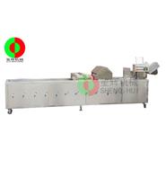 洗菜機/臭氧消毒洗菜機(帶除雜裝置)QX-42S(視頻) 洗菜機/臭氧消毒洗菜機(帶除雜裝置)QX-42S(視頻)