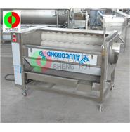 瓜果清洗機/瓜果清洗脫皮機/瓜果毛刷清洗脫皮機QX-612新款 瓜果清洗機/瓜果清洗脫皮機/瓜果毛刷清洗脫皮機QX-612新款