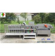 豪華型渦流洗菜機 WL-24 豪華型渦流洗菜機 WL-24