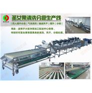 圣女果清洗風(fēng)干分級生產(chǎn)線(視頻) 圣女果清洗風(fēng)干分級生產(chǎn)線(視頻)