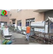 大型蔬果去皮切割清洗生產(chǎn)線(視頻) 大型蔬果去皮切割清洗生產(chǎn)線(視頻)