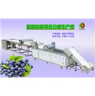 藍莓/蔬果全自動清洗分級生產(chǎn)線 藍莓/蔬果全自動清洗分級生產(chǎn)線
