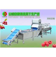 山楂清洗生產(chǎn)線/山楂清洗風干生產(chǎn)線 山楂清洗生產(chǎn)線/山楂清洗風干生產(chǎn)線