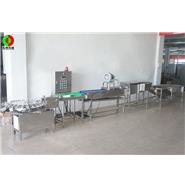 打蛋生產(chǎn)線/清洗、風(fēng)干、光檢、24頭打蛋生產(chǎn)線(視頻)