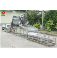 鯪魚(yú)加工生產(chǎn)線(xiàn)/豆豉鯪魚(yú)生產(chǎn)線(xiàn)/魚(yú)類(lèi)加工生產(chǎn)線(xiàn) 鯪魚(yú)加工生產(chǎn)線(xiàn)/豆豉鯪魚(yú)生產(chǎn)線(xiàn)/魚(yú)類(lèi)加工生產(chǎn)線(xiàn)